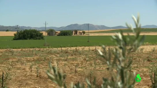 Frame 22.491428 de: GANEMOS CIUDAD REAL CEMENTERIO Frame 22.491428 de: GANEMOS CIUDAD REAL CEMENTERIO