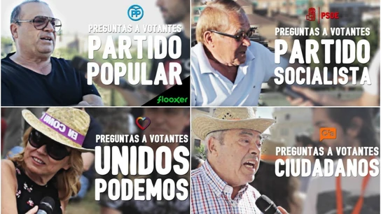 Votantes de los partidos Votantes de los partidos