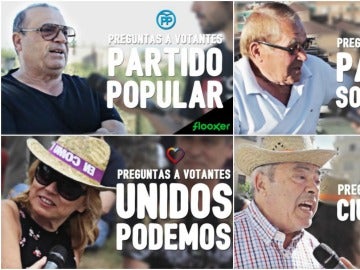 Votantes de los partidos Votantes de los partidos