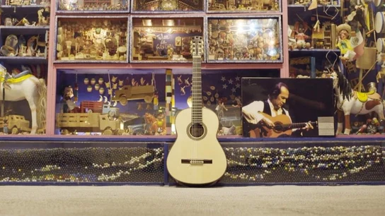 'La Maestro', última guitarra de Paco de Lucía 'La Maestro', última guitarra de Paco de Lucía