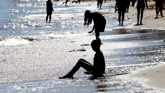 Un grupo de bañistas se refrescan en la playa en Los Angeles, California Un grupo de bañistas se refrescan en la playa en Los Angeles, California