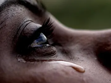 No se sabe exactamente por qué los humanos lloran por causas emocionales. No se sabe exactamente por qué los humanos lloran por causas emocionales.