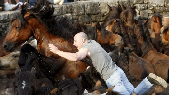 La Rapa Das Bestas, la fiesta de inter&eacute;s tur&iacute;stico internacional en Pontevedra en la que el mundo salvaje se rebela ante el hombre