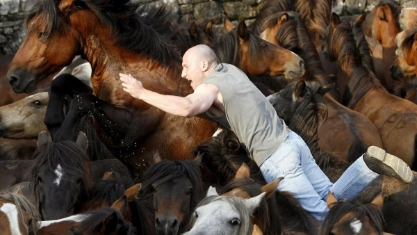 La Rapa Das Bestas, la fiesta de interés turístico internacional en Pontevedra en la que el mundo salvaje se rebela ante el hombre