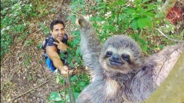 Selfie con oso perezoso