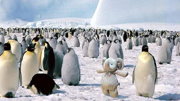 El peluche junto a unos pingüinos en La Antártida
