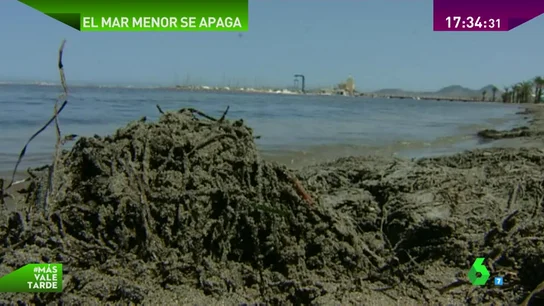 Frame 78.993232 de: MAR MENOR Frame 78.993232 de: MAR MENOR
