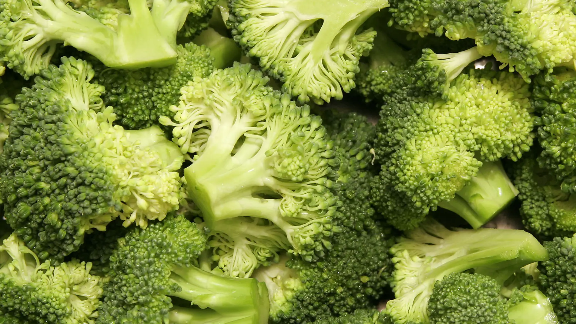 Brócoli listo para cocinar. / Wikipedia