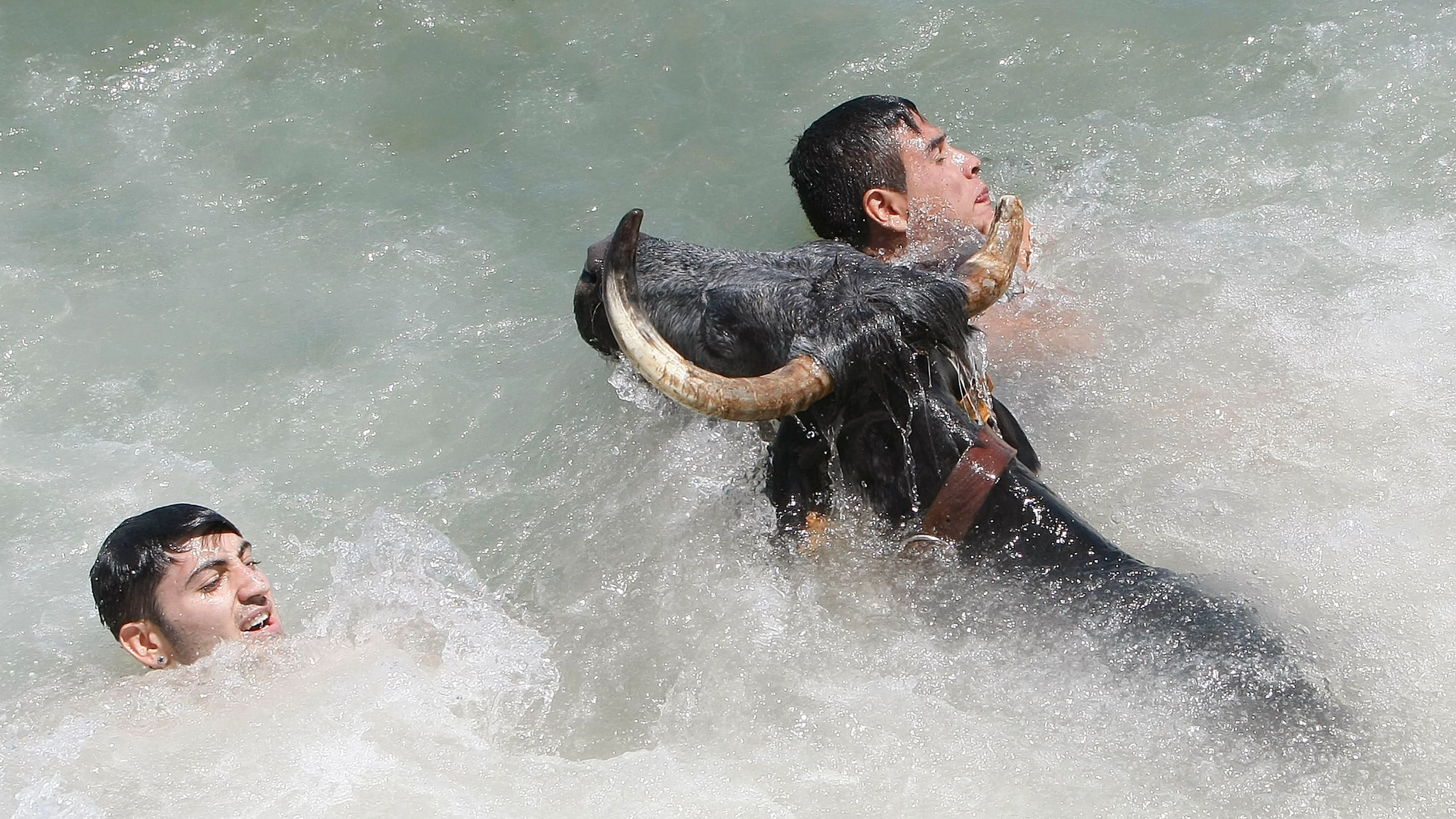 Dos mozos tratan de evitar al toro una vez caidos en las aguas del puerto