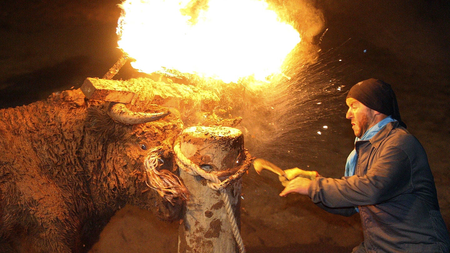 Toro con fuego en los cuernos