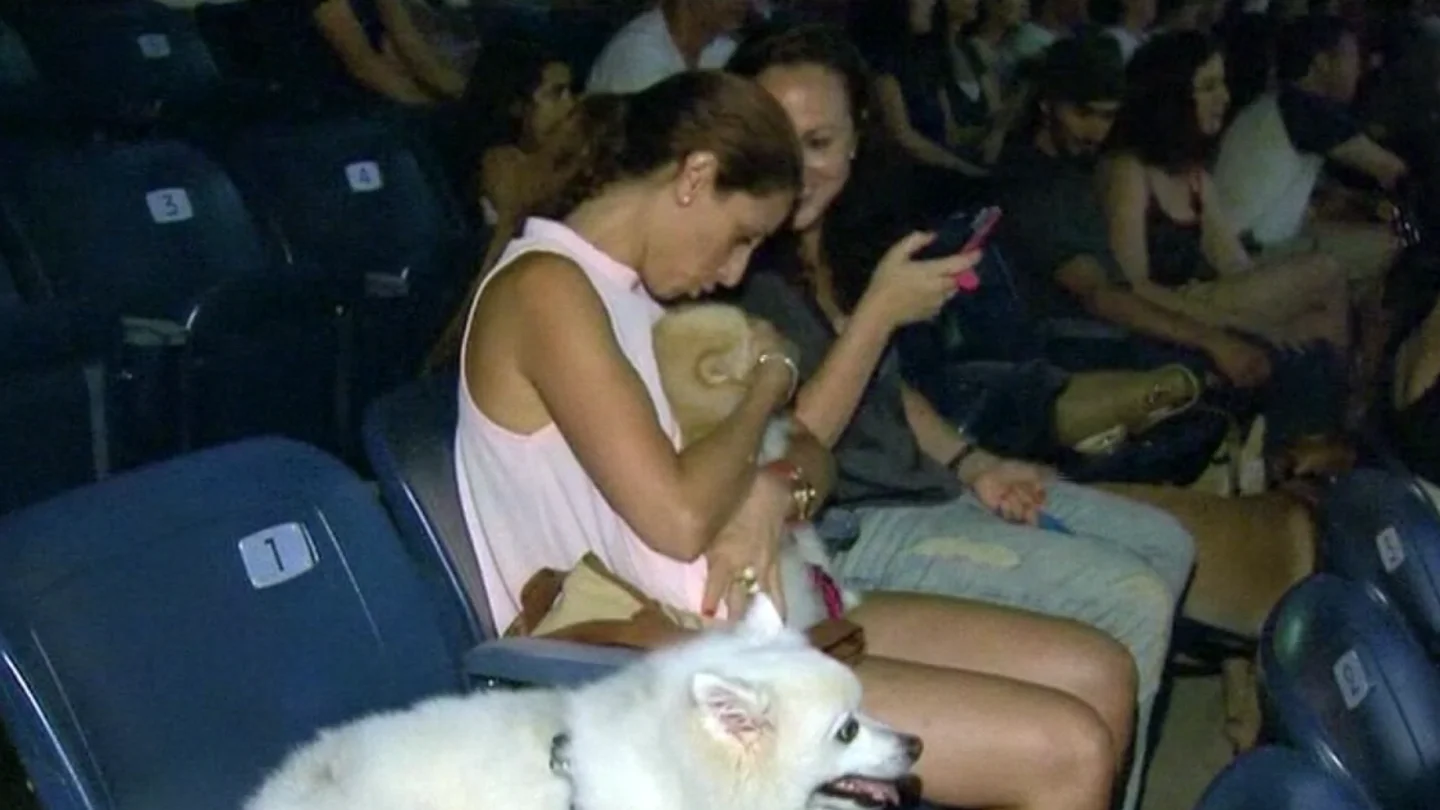 Un cine al aire libre en Israel permite la entrada de perros Un cine al aire libre en Israel permite la entrada de perros