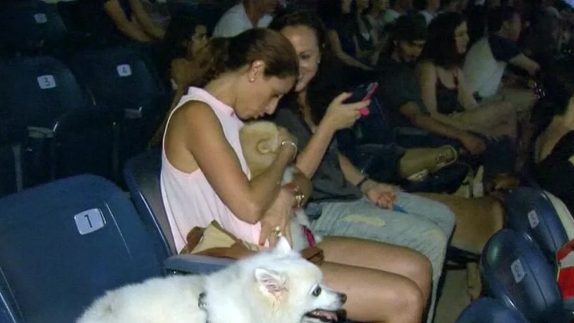 Un cine al aire libre en Israel permite la entrada de perros Un cine al aire libre en Israel permite la entrada de perros