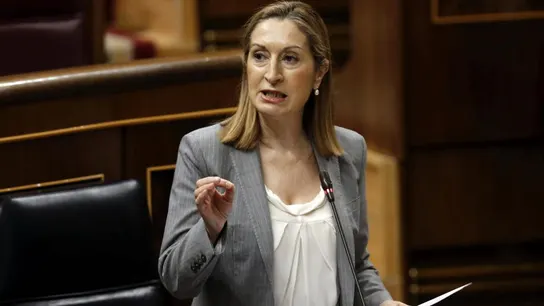La ministra de Fomento, Ana Pastor La ministra de Fomento, Ana Pastor