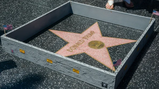 Muro alrededor de la estrella de Donald Trump Muro alrededor de la estrella de Donald Trump