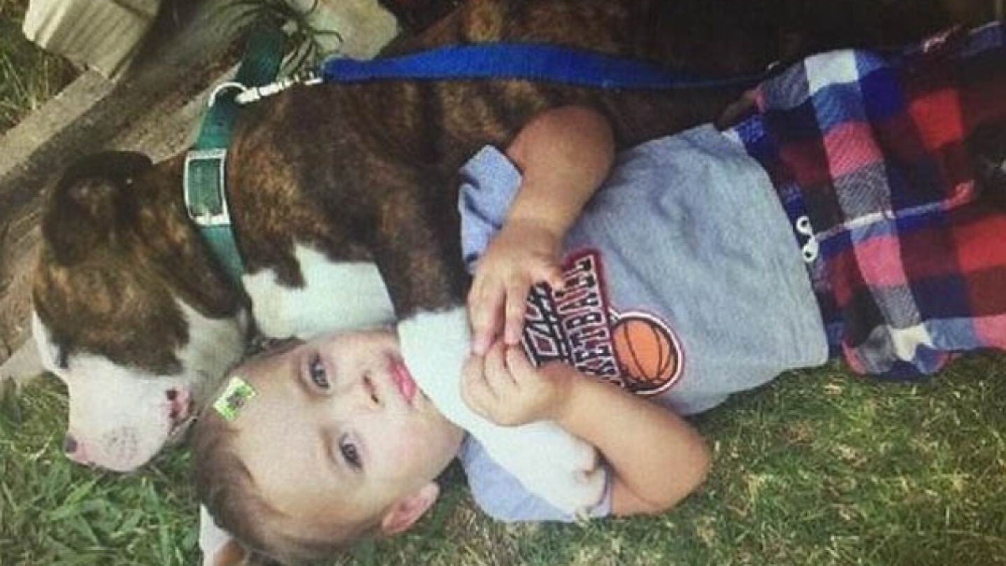 El ni&ntilde;o junto a su perro.