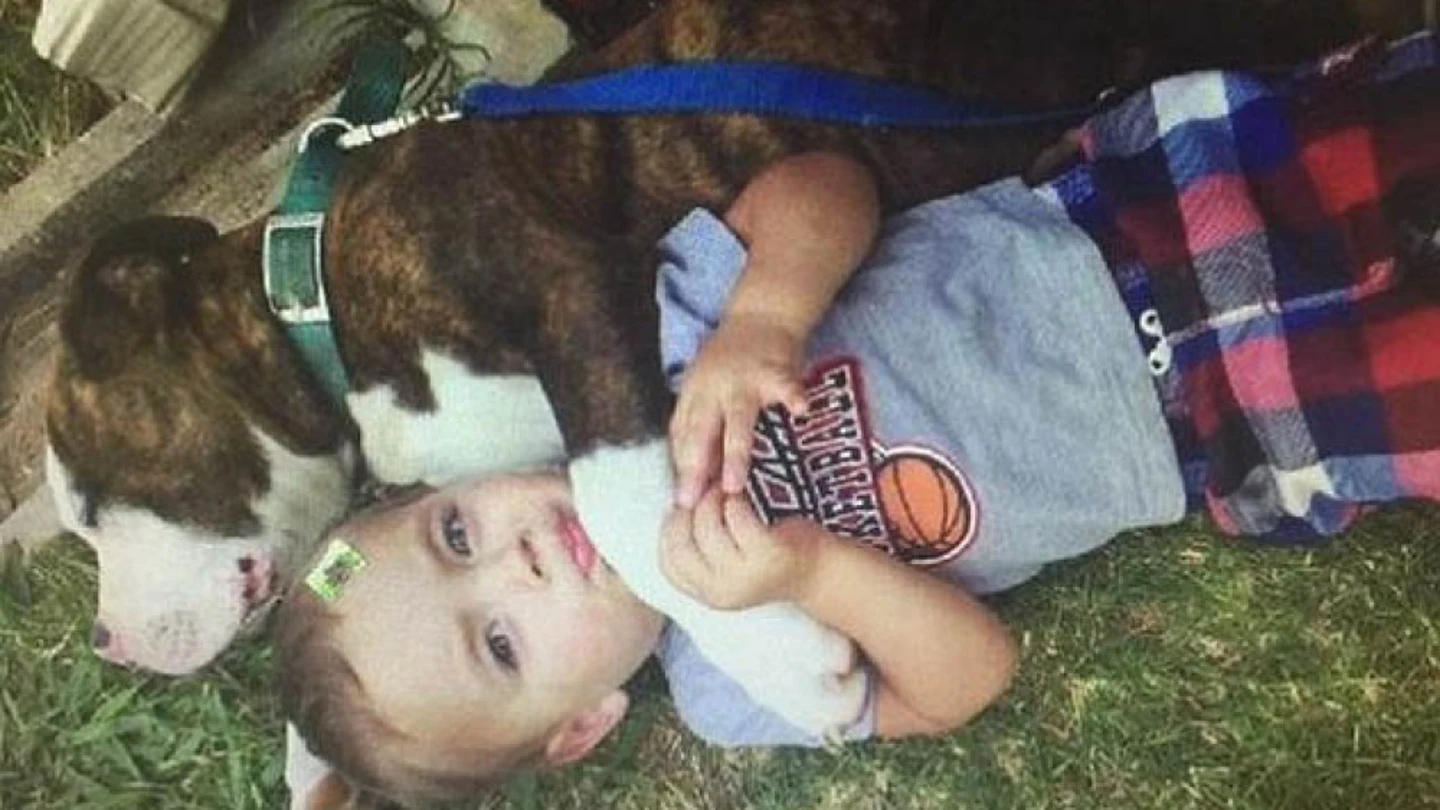 El niño junto a su perro. El niño junto a su perro.