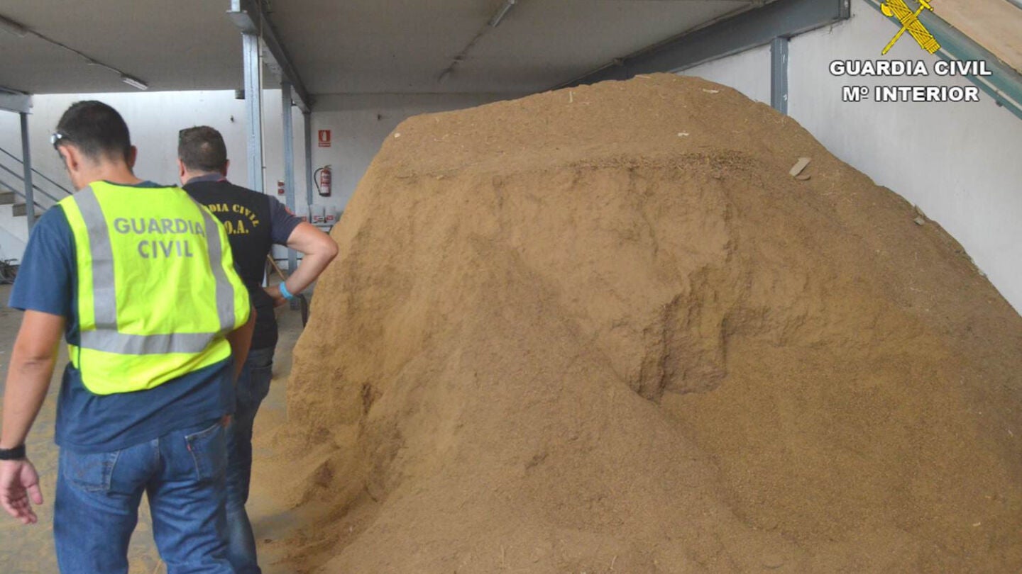 Tabaco ilegal intervenido en Elche.