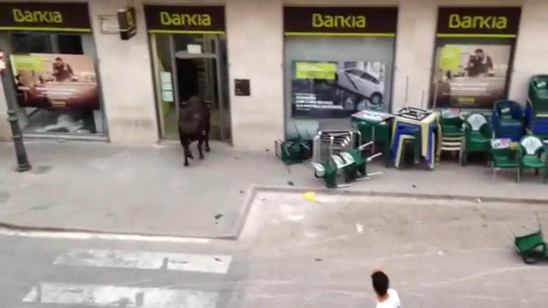 Un toro se cuela en una oficina de Bankia