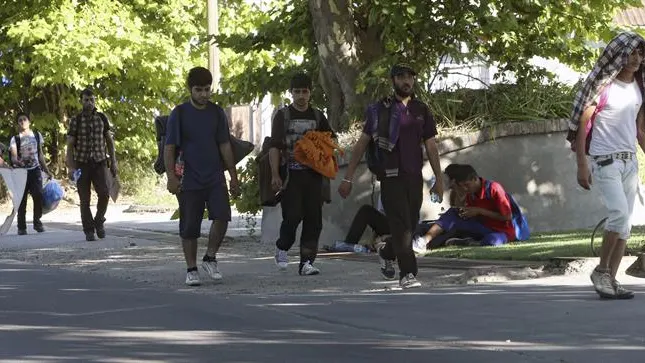 Varios migrantes, de camino a Hungr&iacute;a, marchan por una carretera pr&oacute;xima a Belgrado (Serbia)