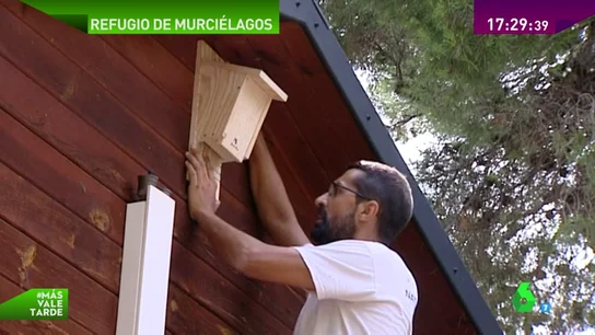 Frame 38.610781 de: murciélagos Frame 38.610781 de: murciélagos