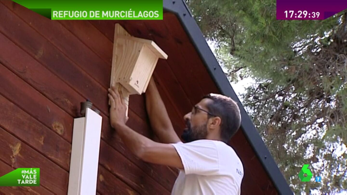Frame 38.610781 de: murci&Atilde;&copy;lagos