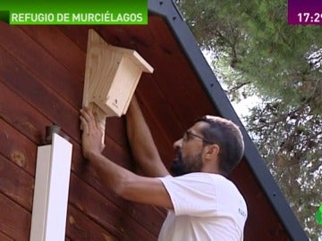 Frame 38.610781 de: murciélagos Frame 38.610781 de: murciélagos