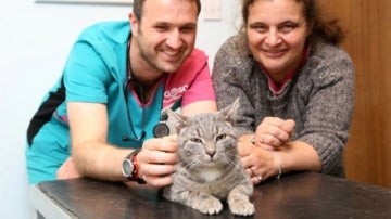 Bobby junto a su dueña y un veterinario.