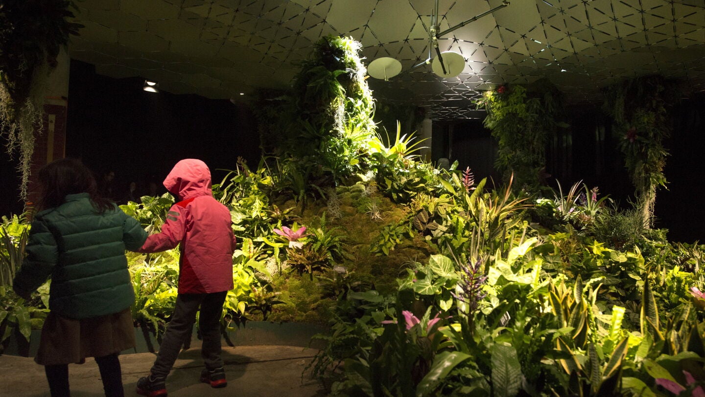 Lowline Lab, parque subterr&aacute;neo piloto