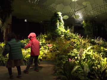 Lowline Lab, parque subterráneo piloto Lowline Lab, parque subterráneo piloto