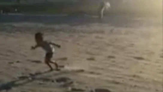 El niño perseguido por las gaviotas El niño perseguido por las gaviotas