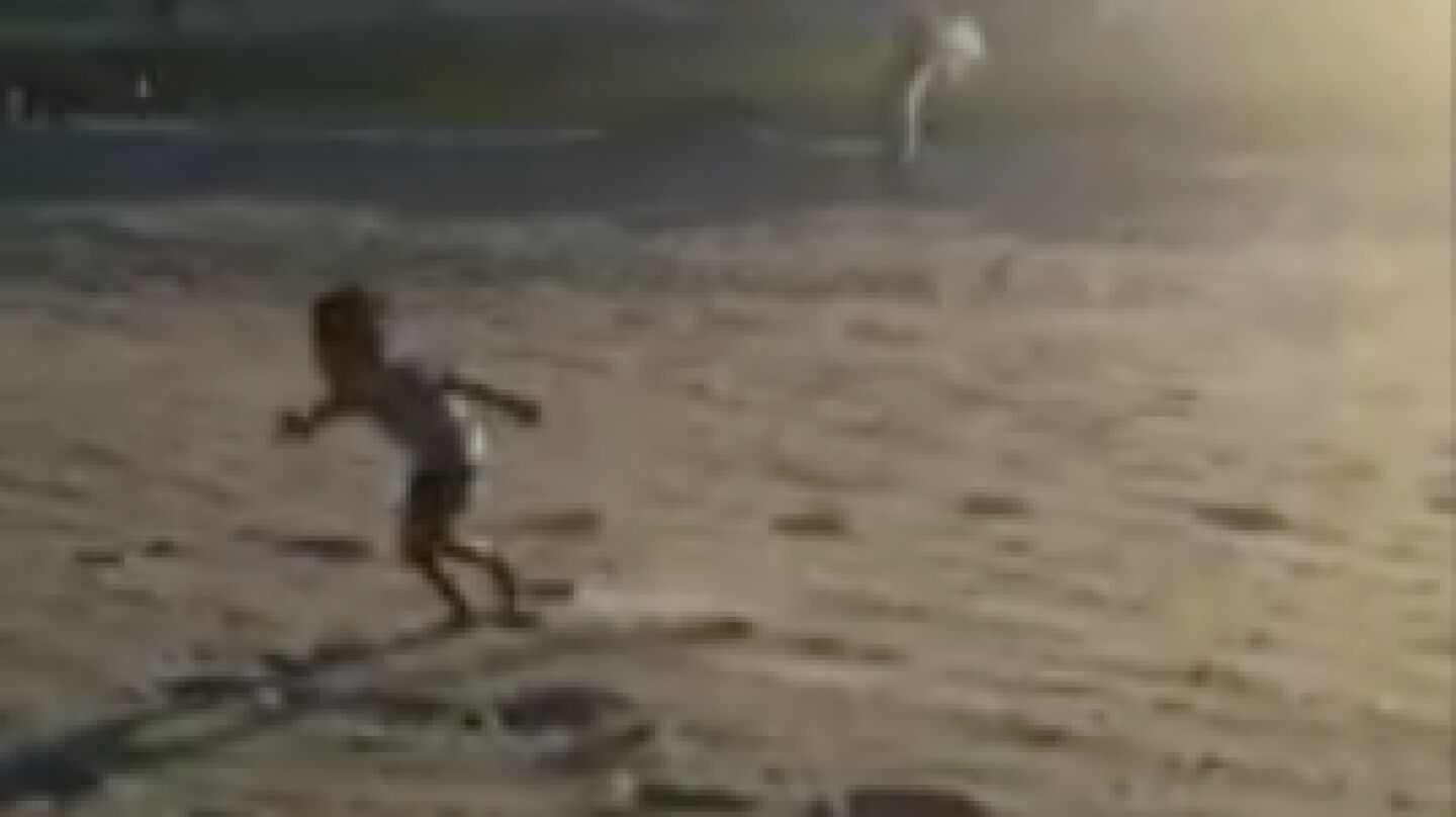 El ni&ntilde;o perseguido por las gaviotas