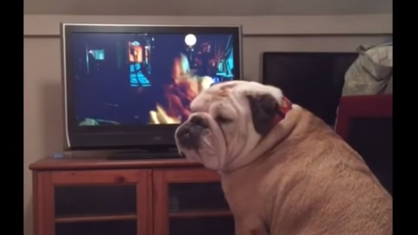 Khalessi mientras observa la televisi&oacute;n