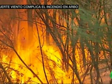 Frame 42.823219 de: incendio Frame 42.823219 de: incendio