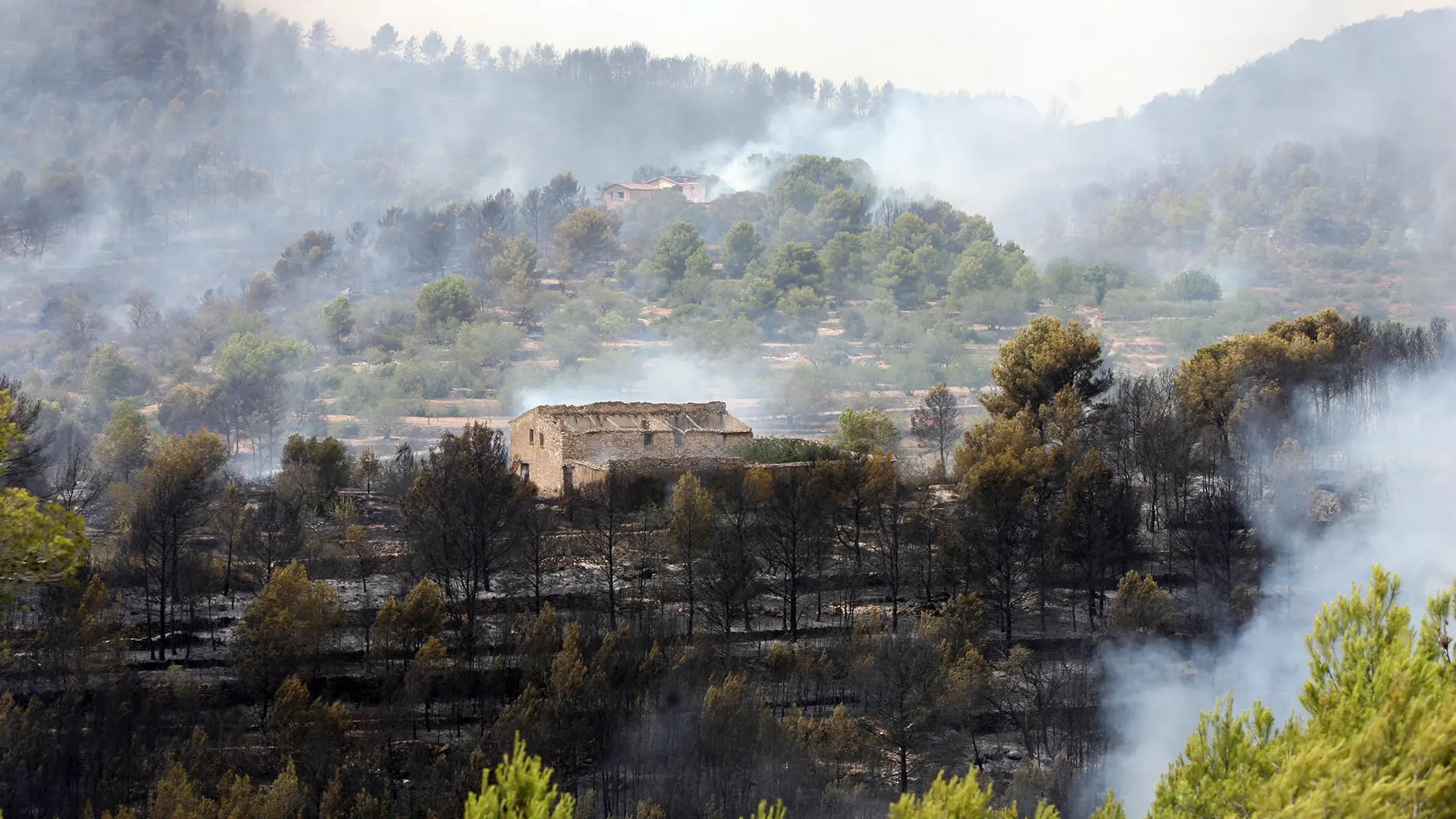 Una masía con el entorno quemado a causa del incendio en La Pobla de Montornès, Tarragona.