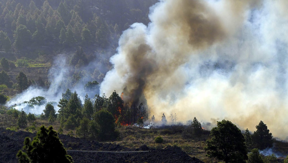 Incendio forestal en La Palma
