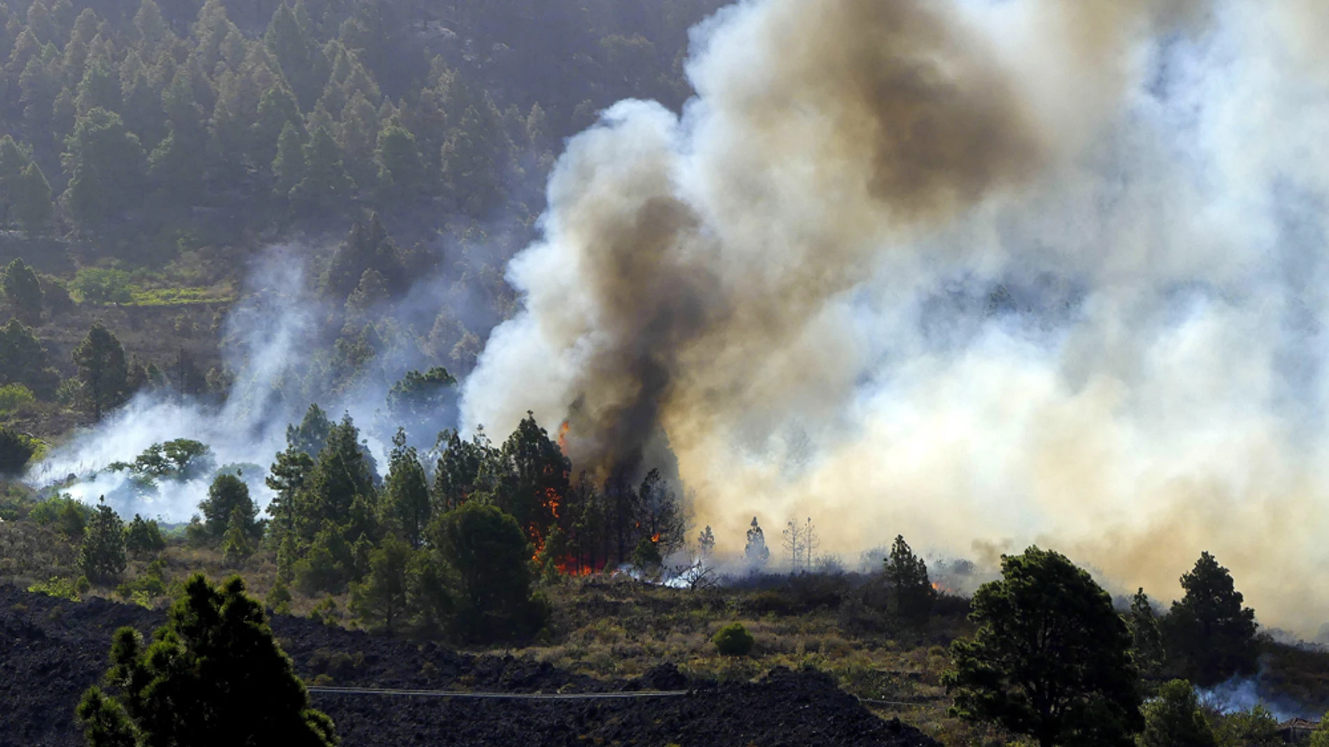 Incendio forestal en La Palma