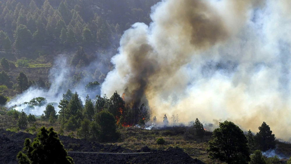 Incendio forestal en La Palma