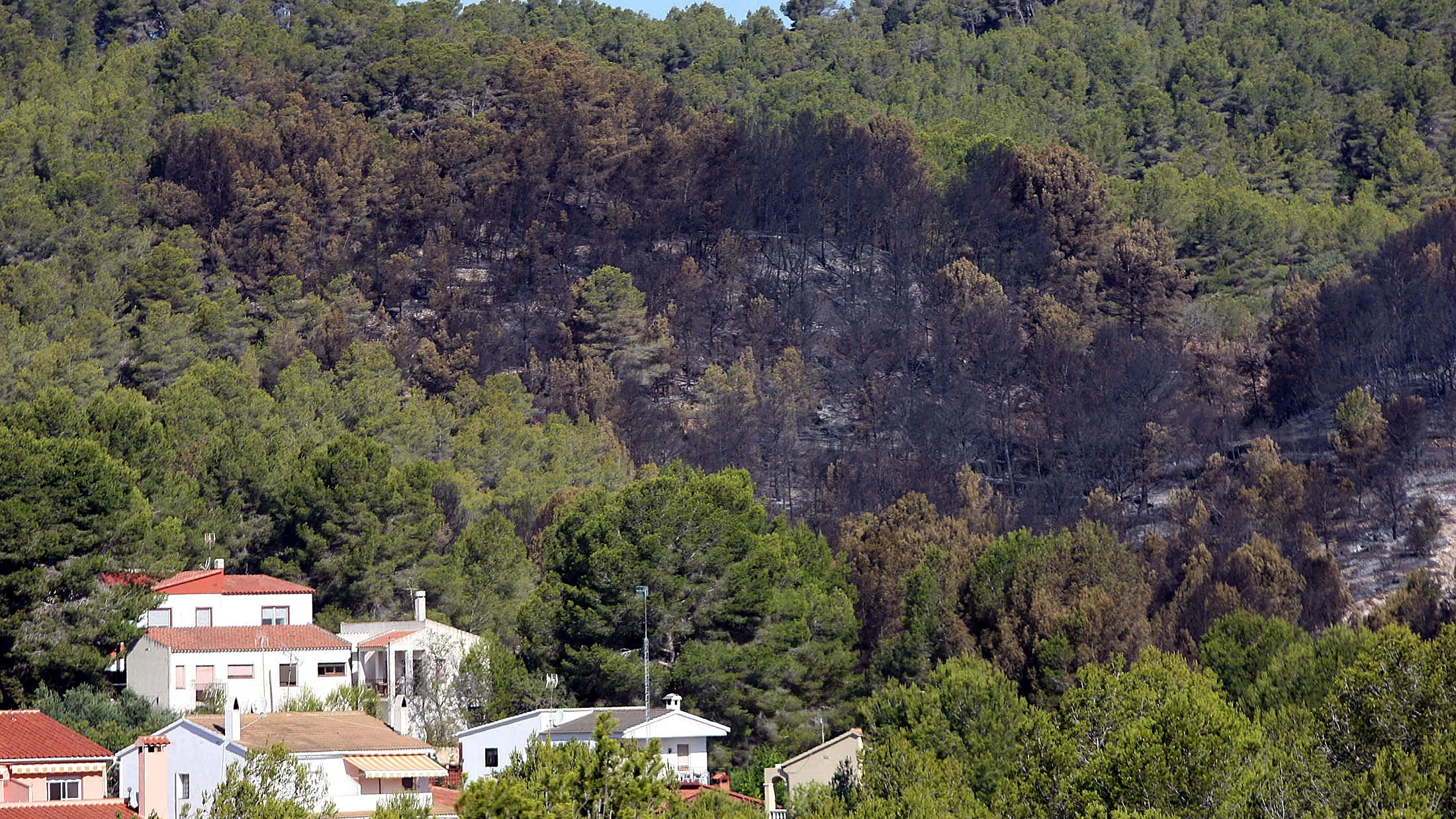 Efectos del incendio declarado en La Pobla de Montornes, que ya ha quemado unas 465,7 hectáreas de bosque. 