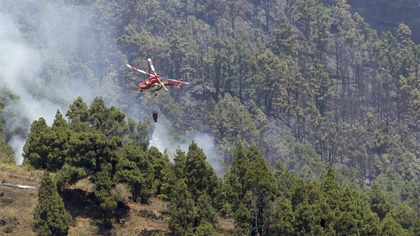 Incendio La Palma Incendio La Palma