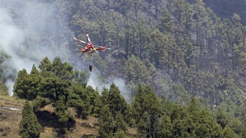 Incendio La Palma