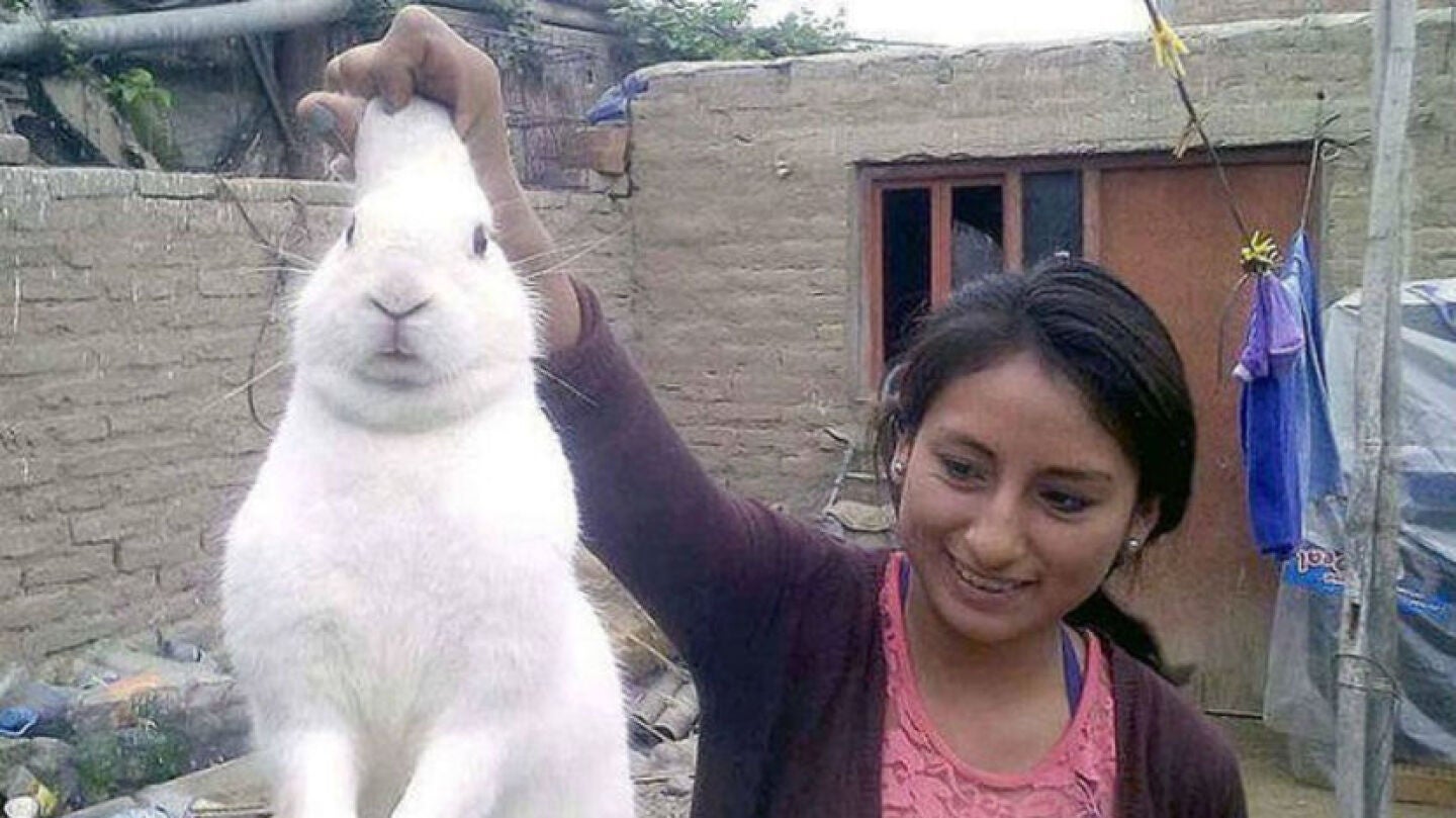 'Pinpon' el conejito adicto a la marihuana junto a su due&ntilde;a.