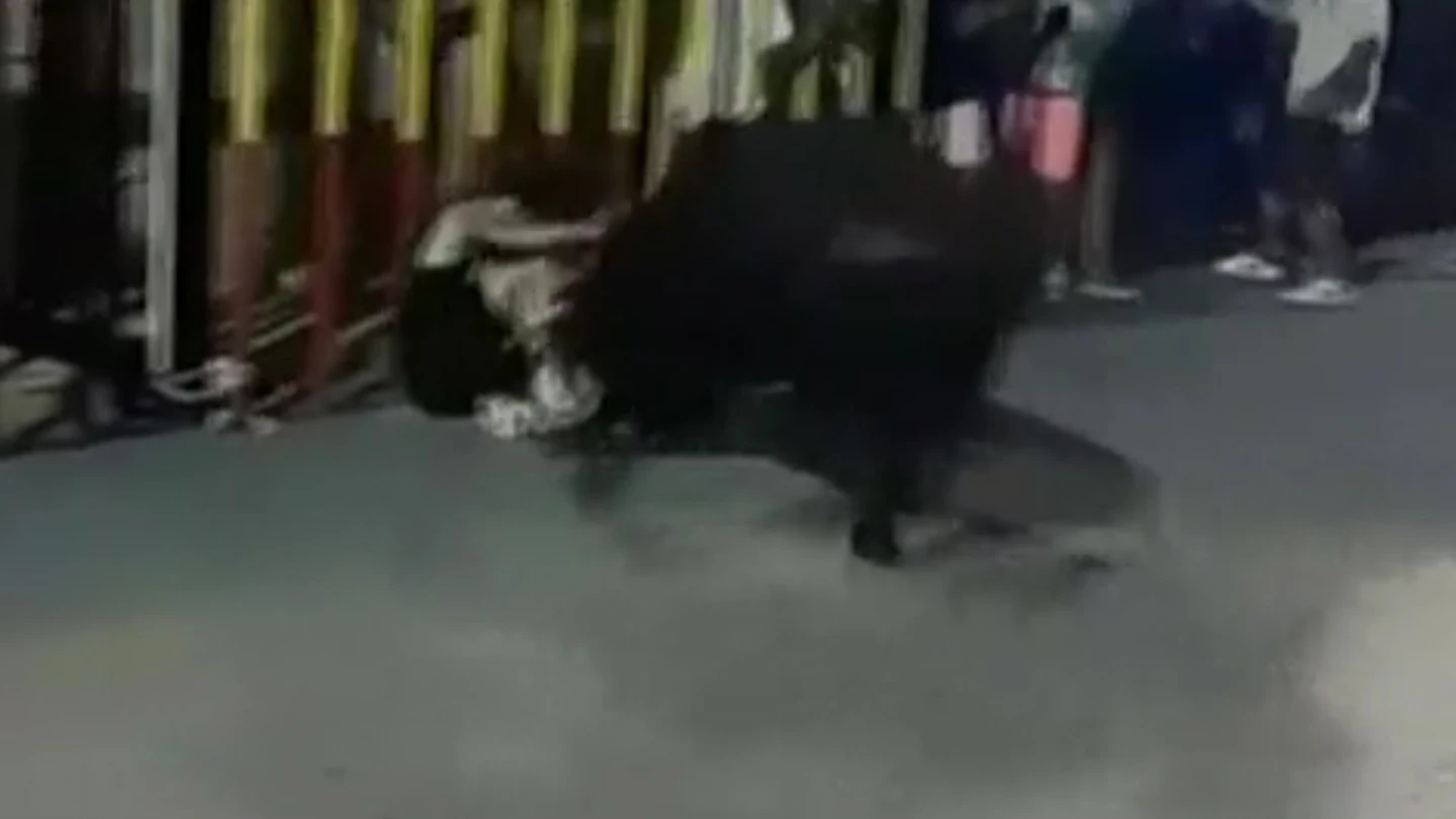 Un joven de 15 años recibe una cornada durante un encierro en Calpe Un joven de 15 años recibe una cornada durante un encierro en Calpe
