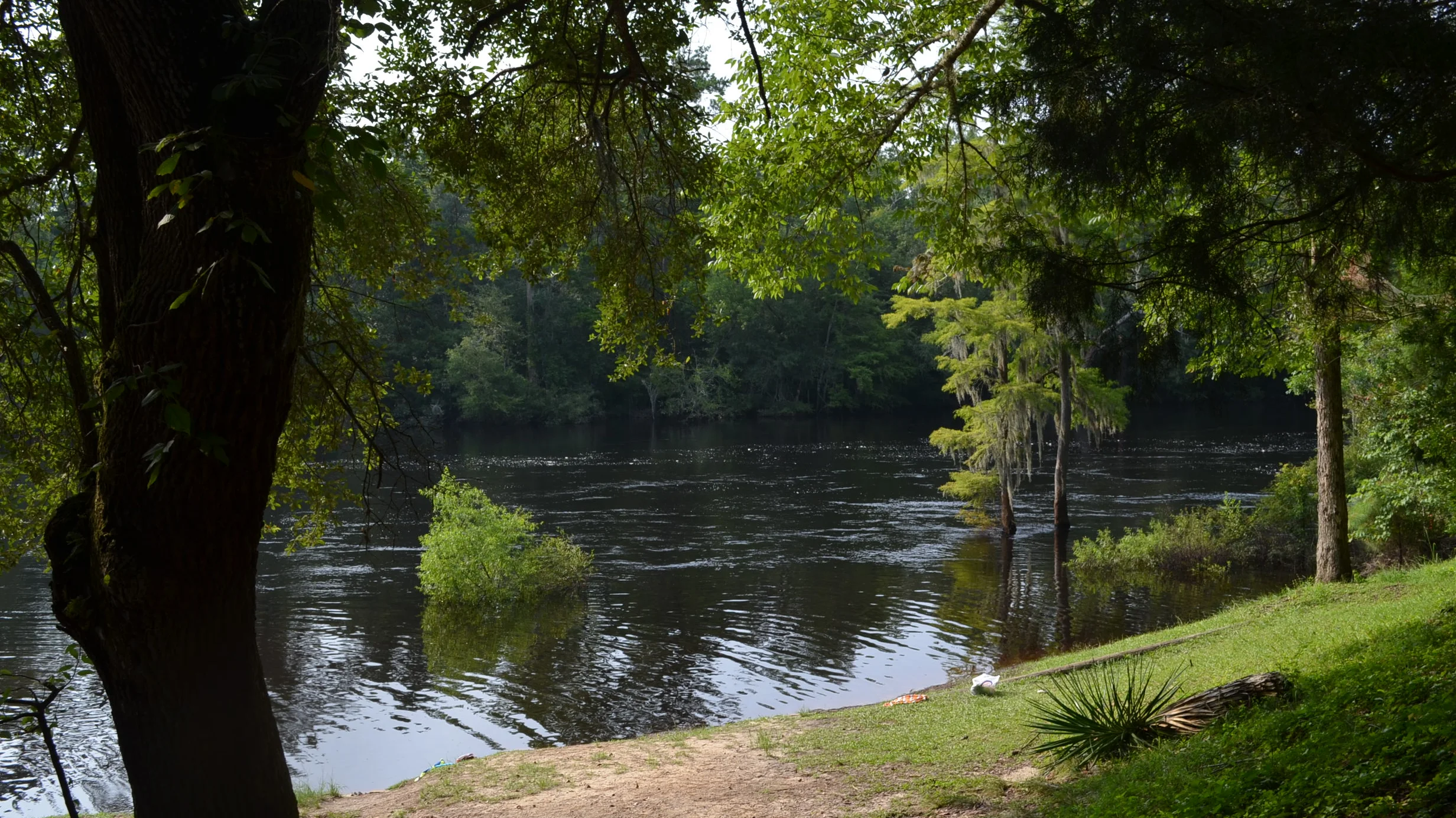 Río Edisto, en Carolina del Sur Río Edisto, en Carolina del Sur