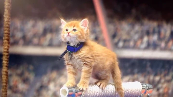 JJOO de gatitos sin hogar