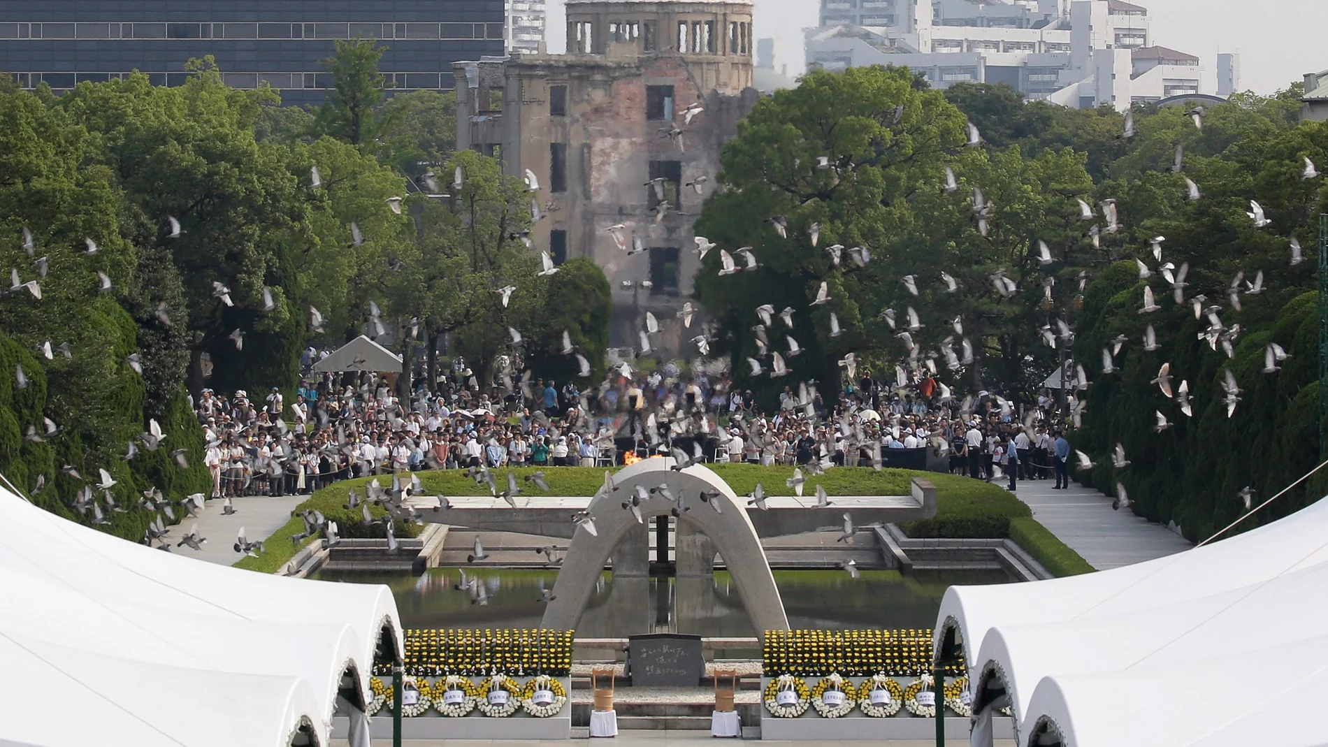 Palomas volando durante la ceremonia conmemorativa de Nagasaki