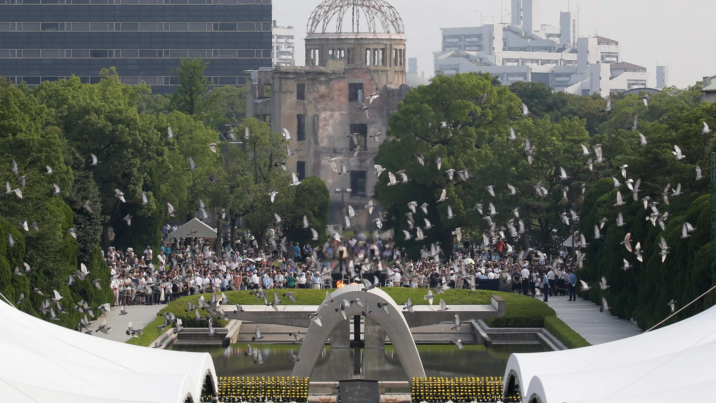 Palomas volando durante la ceremonia conmemorativa de Nagasaki Palomas volando durante la ceremonia conmemorativa de Nagasaki