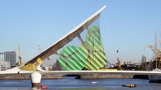 Greenpeace convierte un puente en un &aacute;rbol ca&iacute;do
