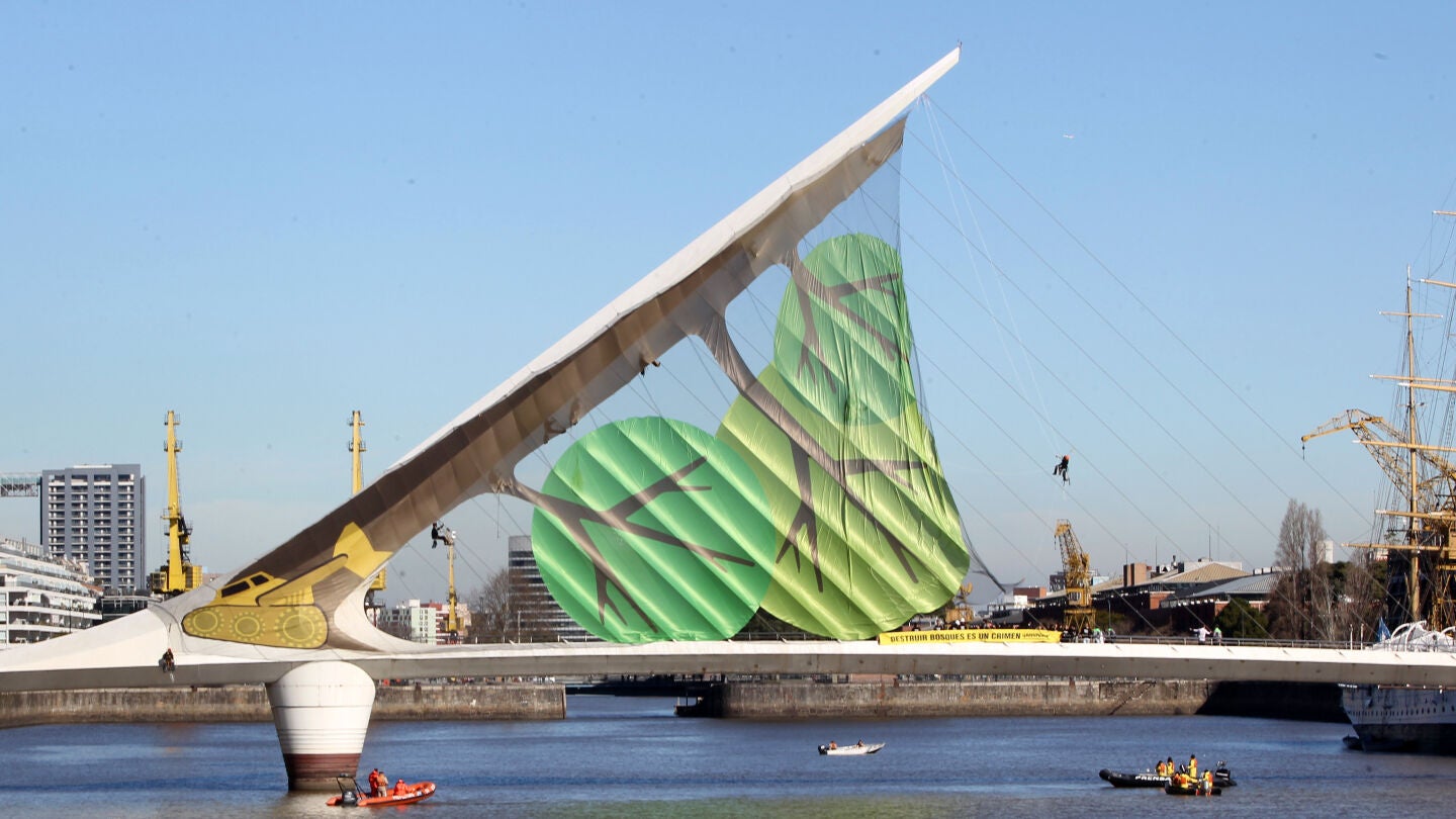 Greenpeace convierte un puente en un &aacute;rbol ca&iacute;do