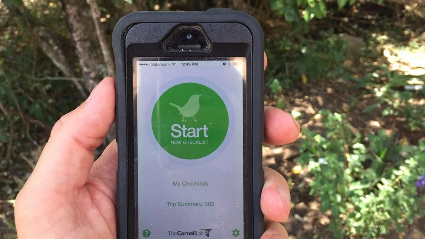 'eBird' 'eBird'