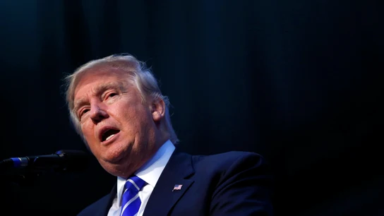 El candidato republicano para gobernar EEUU, Donald Trump, en un mitin en Florida El candidato republicano para gobernar EEUU, Donald Trump, en un mitin en Florida